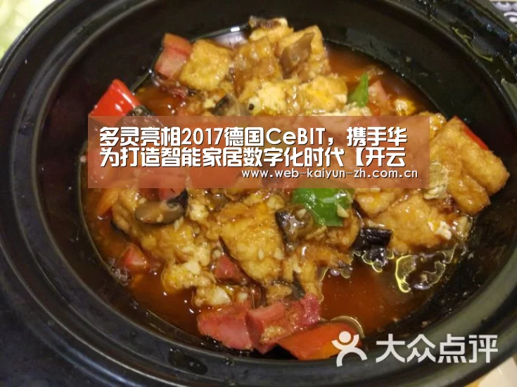 开云体育直播