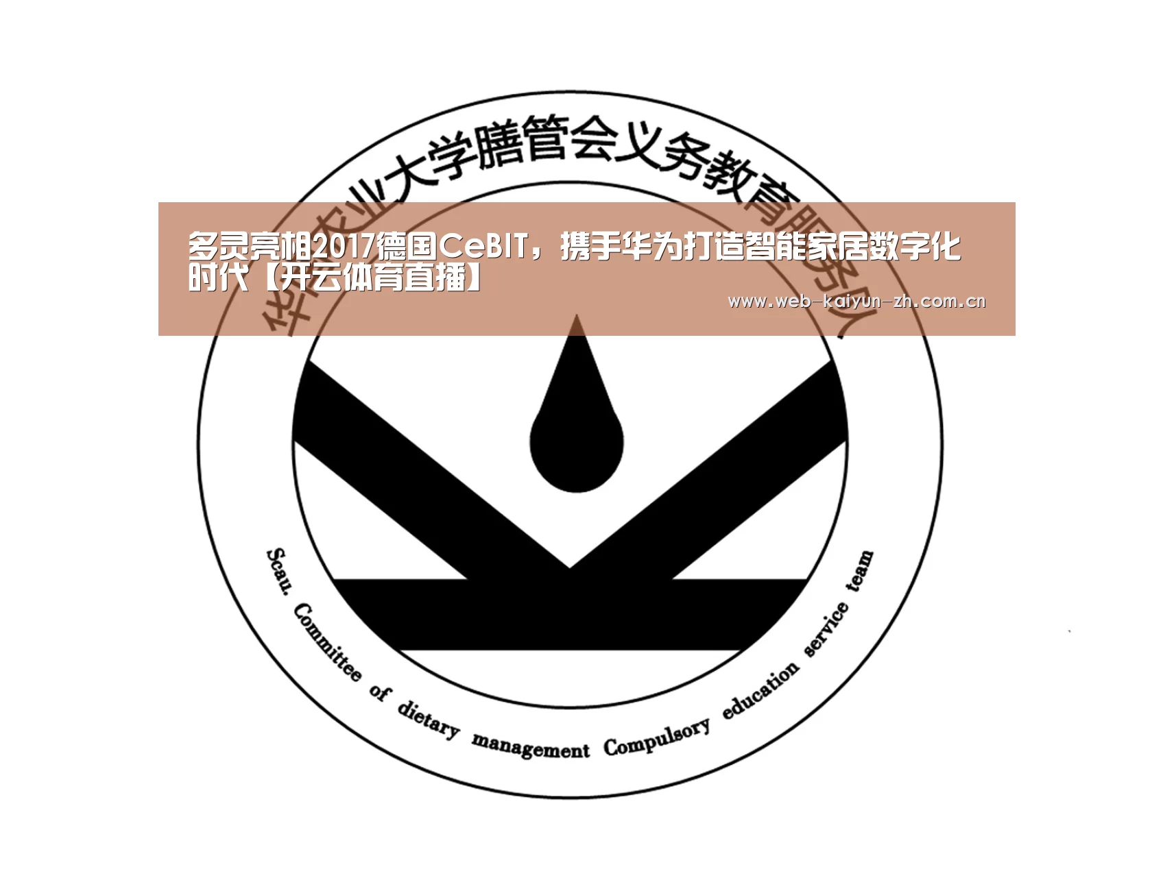 开云体育直播