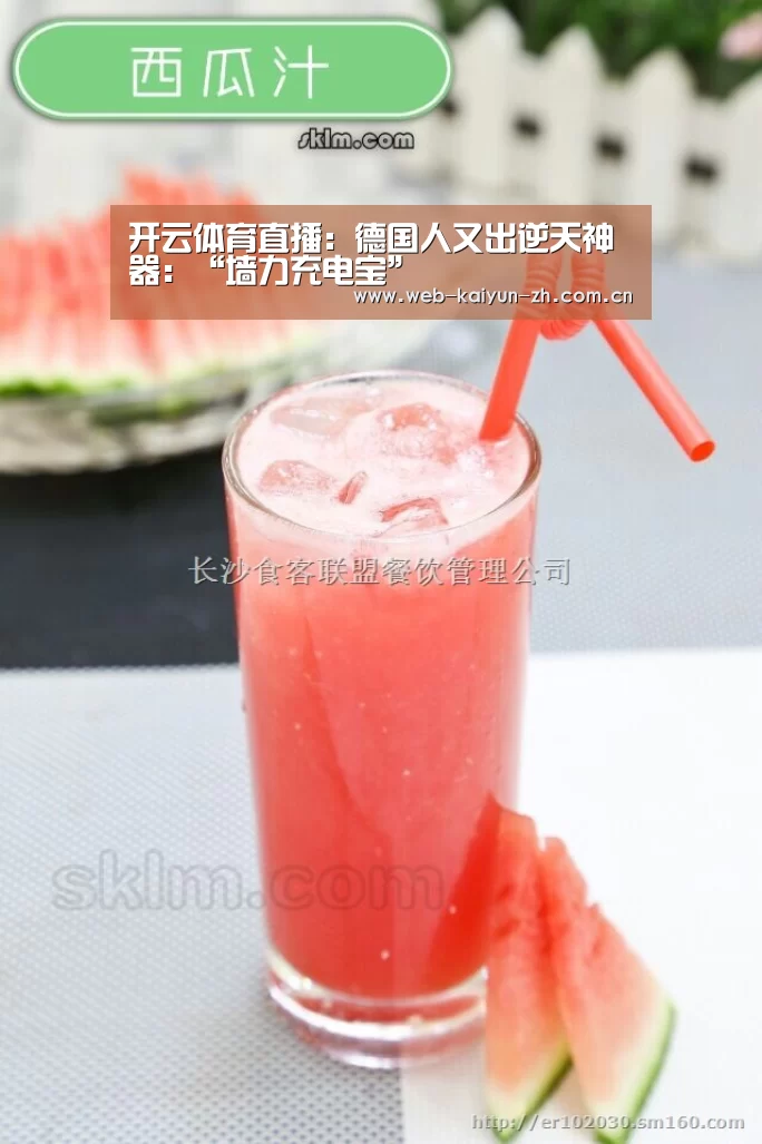 开云体育直播:德国人又出逆天神器:“墙力充电宝”(图3) KAIYUN官网