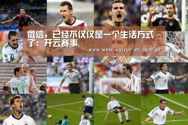 KAIYUN官网