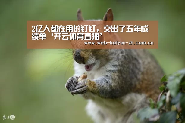 开云体育直播