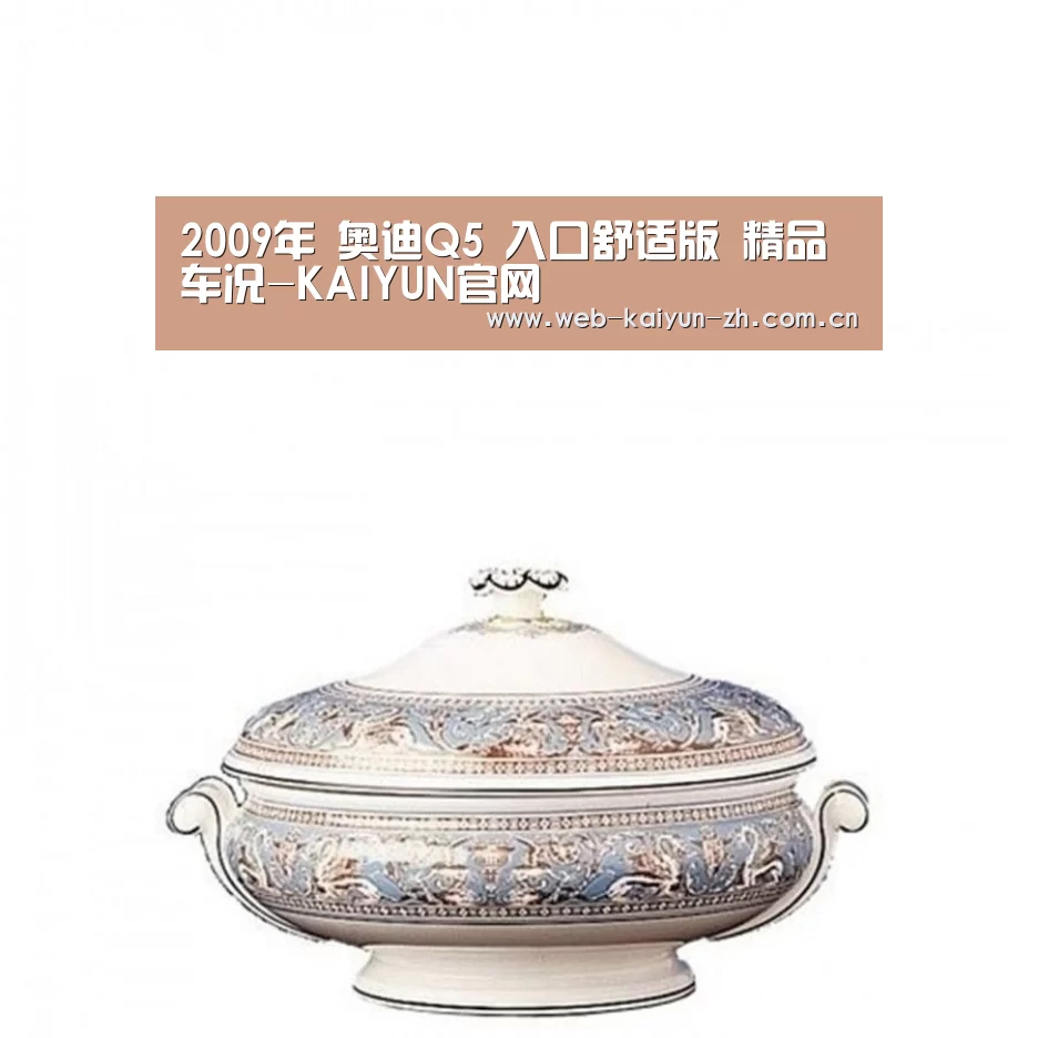 2009年 奥迪Q5 入口舒适版 精品车况-KAIYUN官网(图6) 开云体育直播