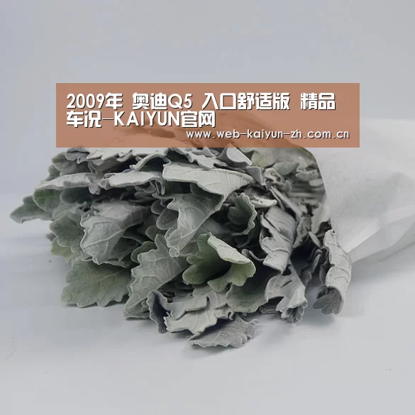 2009年 奥迪Q5 入口舒适版 精品车况-KAIYUN官网(图5) 开云赛事