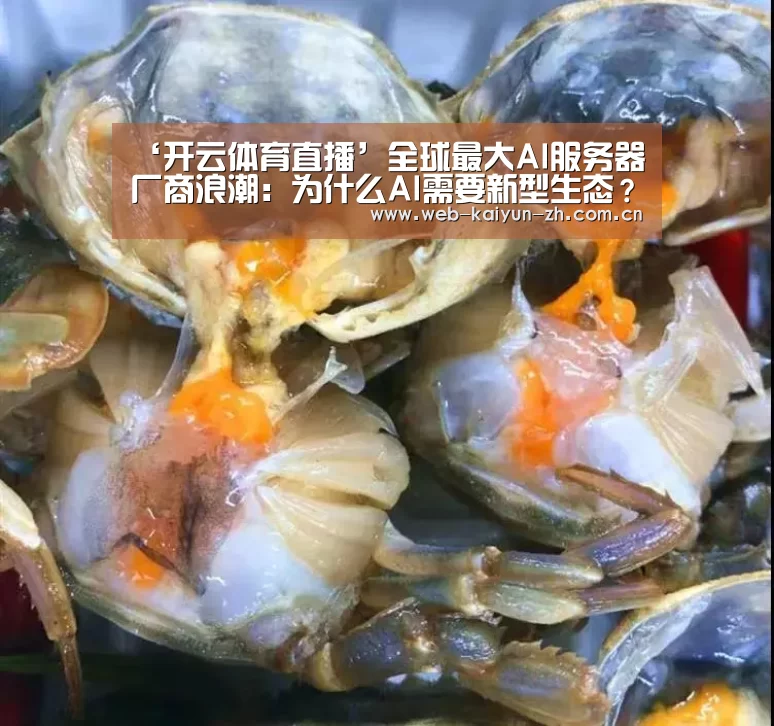 开云体育直播