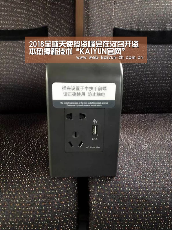 2018全球天使投资峰会在汉召开资本热捧新技术“KAIYUN官网”(图3) 开云赛事