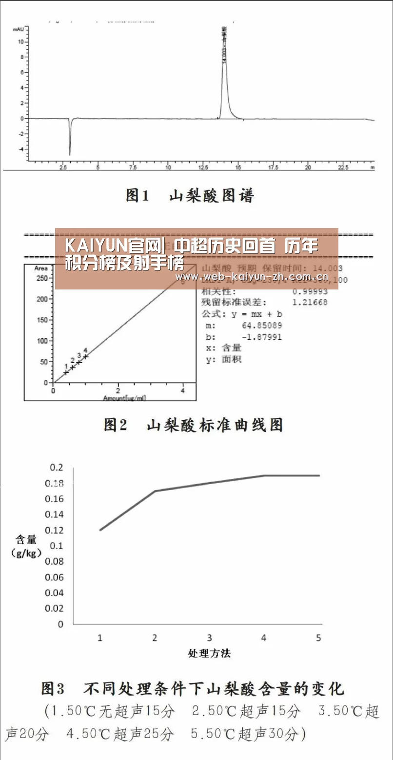 开云体育直播