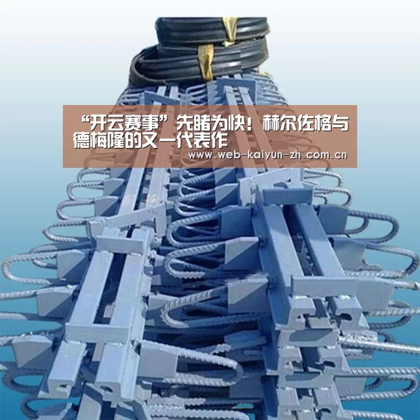 “开云赛事”先睹为快!赫尔佐格与德梅隆的又一代表作(图2) 开云赛事