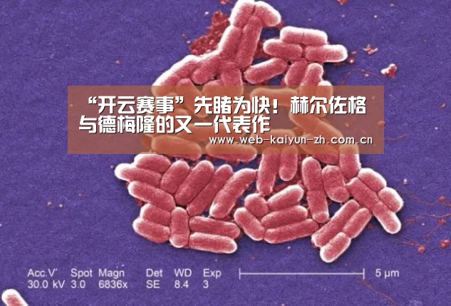 “开云赛事”先睹为快!赫尔佐格与德梅隆的又一代表作(图3) 开云赛事