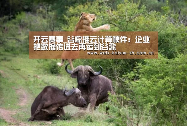 开云赛事_谷歌推云计算硬件:企业把数据传进去再运到谷歌(图2) 开云赛事