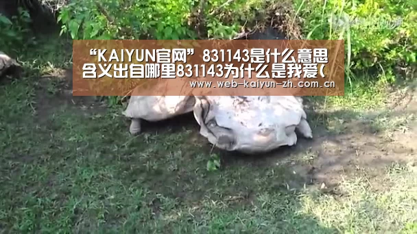 “KAIYUN官网”831143是什么意思含义出自哪里831143为什么是我爱(喜欢)你(图2) 开云体育直播