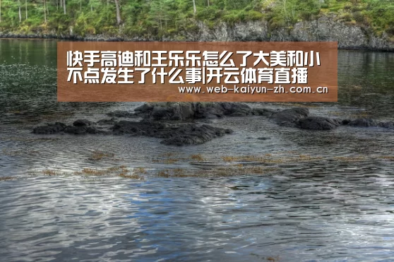 快手高迪和王乐乐怎么了大美和小不点发生了什么事|开云体育直播(图1) 开云赛事