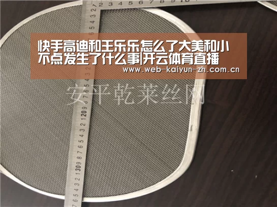 快手高迪和王乐乐怎么了大美和小不点发生了什么事|开云体育直播(图3) KAIYUN官网